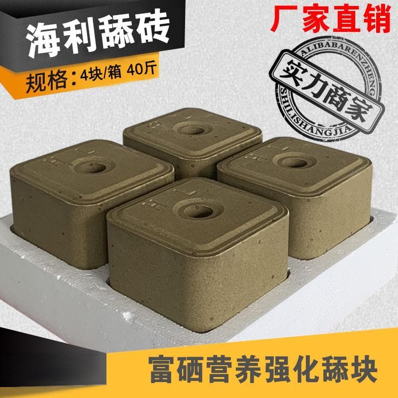 从观察到疾病防治：母羊产后护理要点详解