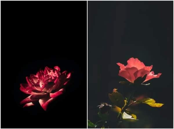 手机怎么拍出黑色背景照片（手机怎样拍出背景纯黑）