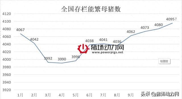 春节前~2025年生猪行情如何走？快看官方最新预判