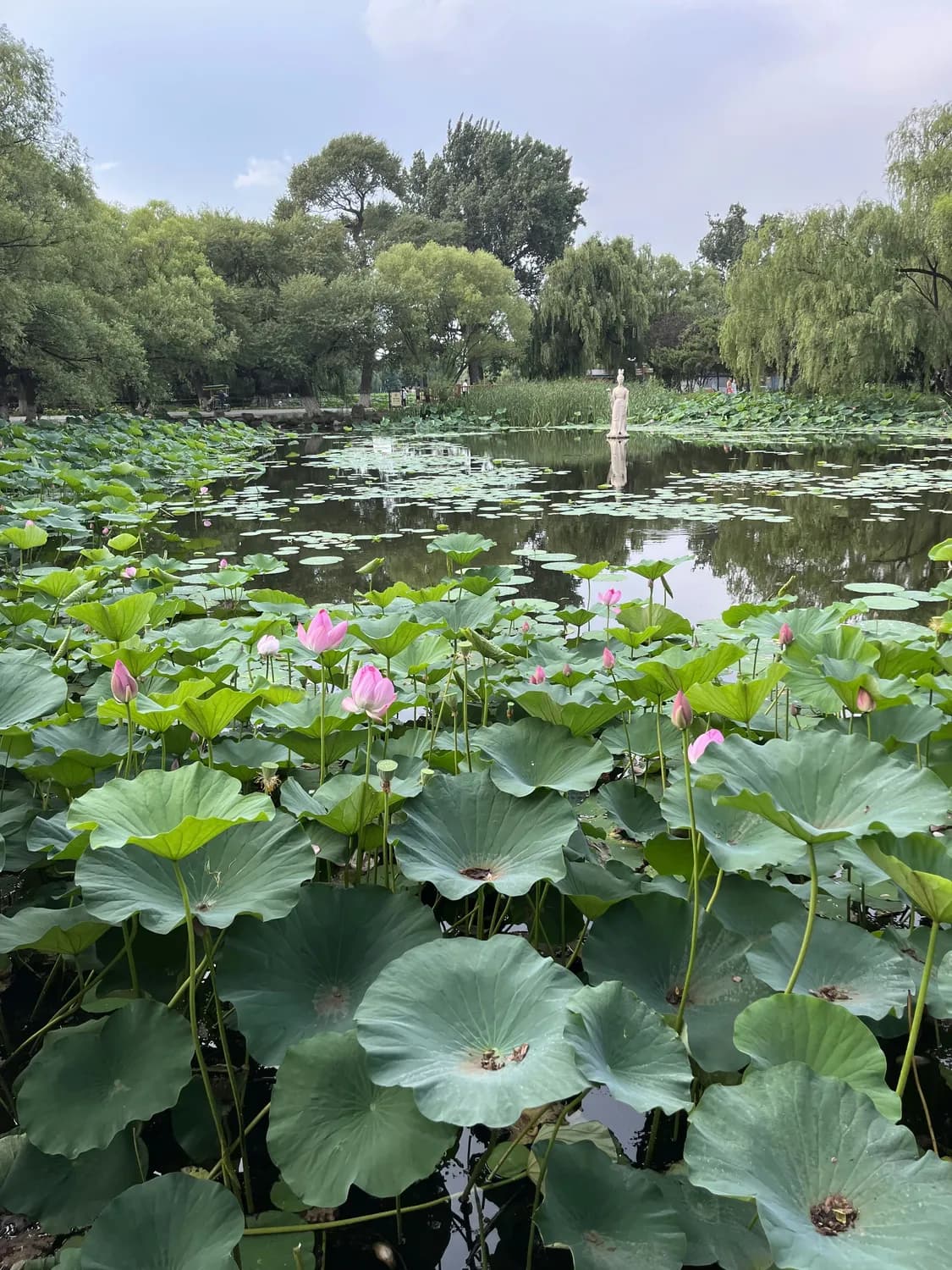 苏州夏日避暑胜地大揭秘！