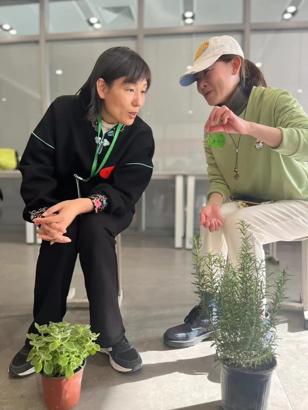李春花：从农业“小白”到“春花庄主”