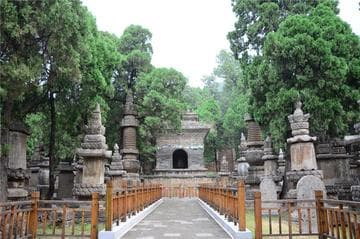 灵岩寺墓塔林：露天的石刻艺术博物馆