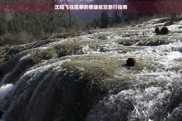 沈阳飞往昆明的便捷航空旅行指南
