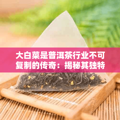 大白菜是普洱茶行业不可复制的传奇：揭秘其独特制作工艺与市场影响力