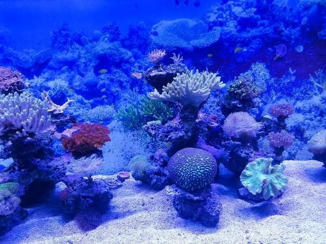 揭秘海底世界，科技引领我们走向未知的深渊