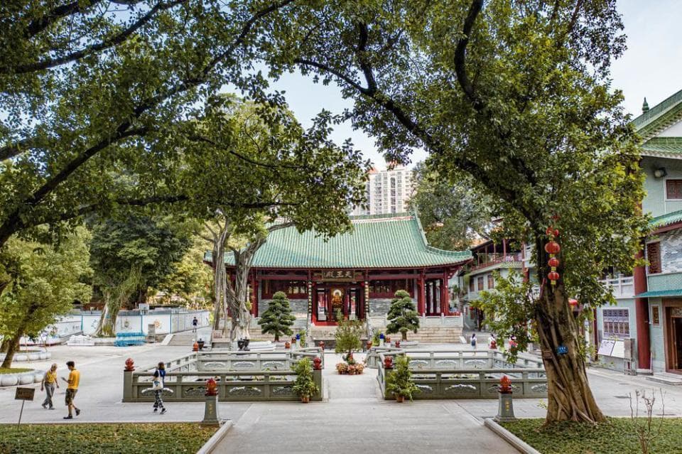 探寻咏春拳洪拳的“广州源流”，武术界人士齐聚广州海珠