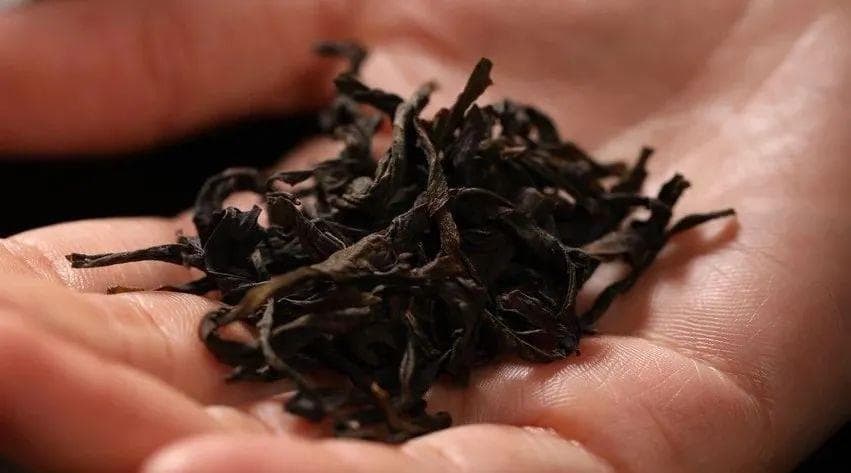 “鸭屎香”究竟和鸭屎是什么关系？