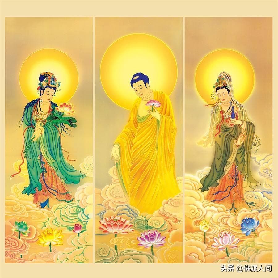 玄奘法师取回来的经书有哪些？
