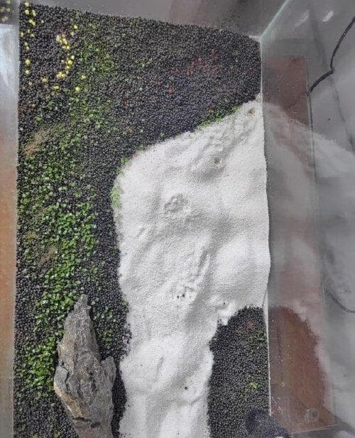 水草泥直接放鱼缸里行吗？