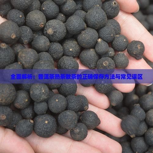 全面解析：普洱茶熟茶散茶的正确保存方法与常见误区
