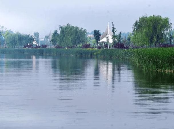 四海云游南乐旅游攻略必去5个网红打卡景点