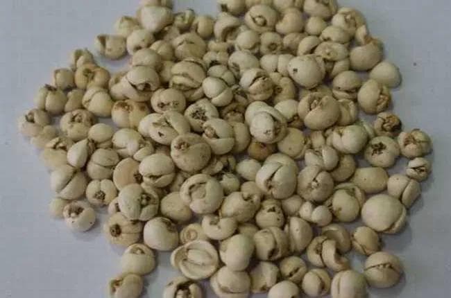 贝母的功效与作用及食用方法、副作用及禁忌