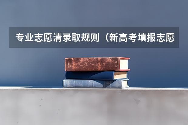 专业志愿清录取规则（新高考填报志愿规则）