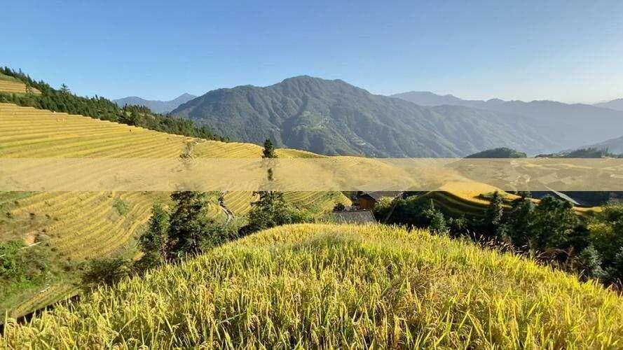 长沙至张家界天门山旅行攻略：交通方式、行程规划及实用信息指南