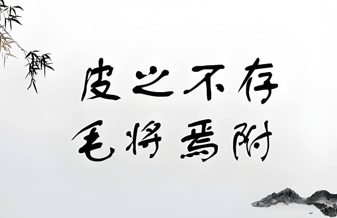 皮之不存，毛将焉附：成语的来历与现代运用