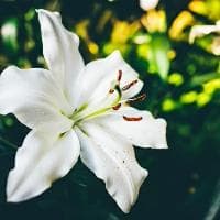 SFX电源和ATX电源的区别