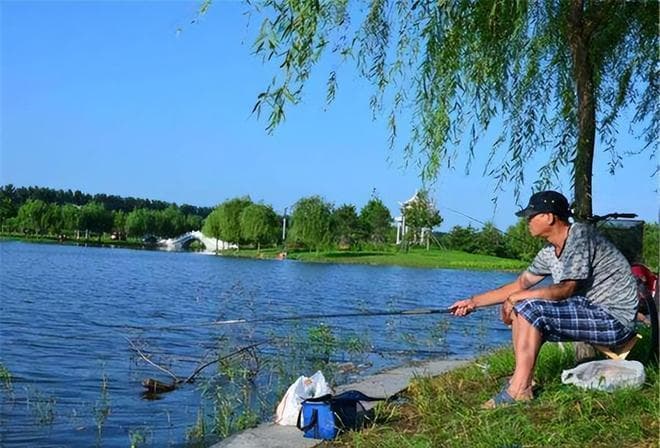 夏日钓鱼，如何选择和使用玉米饵料？让你的垂钓之行满载而归