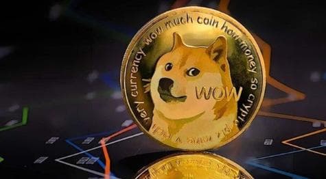 Doge币价值前景分析：潜力与风险并存的加密货币