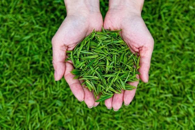 中华文化掌故：六大茶系的品鉴