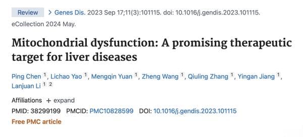 线粒体功能与肝脏健康，李兰娟院士团队发表最新综述