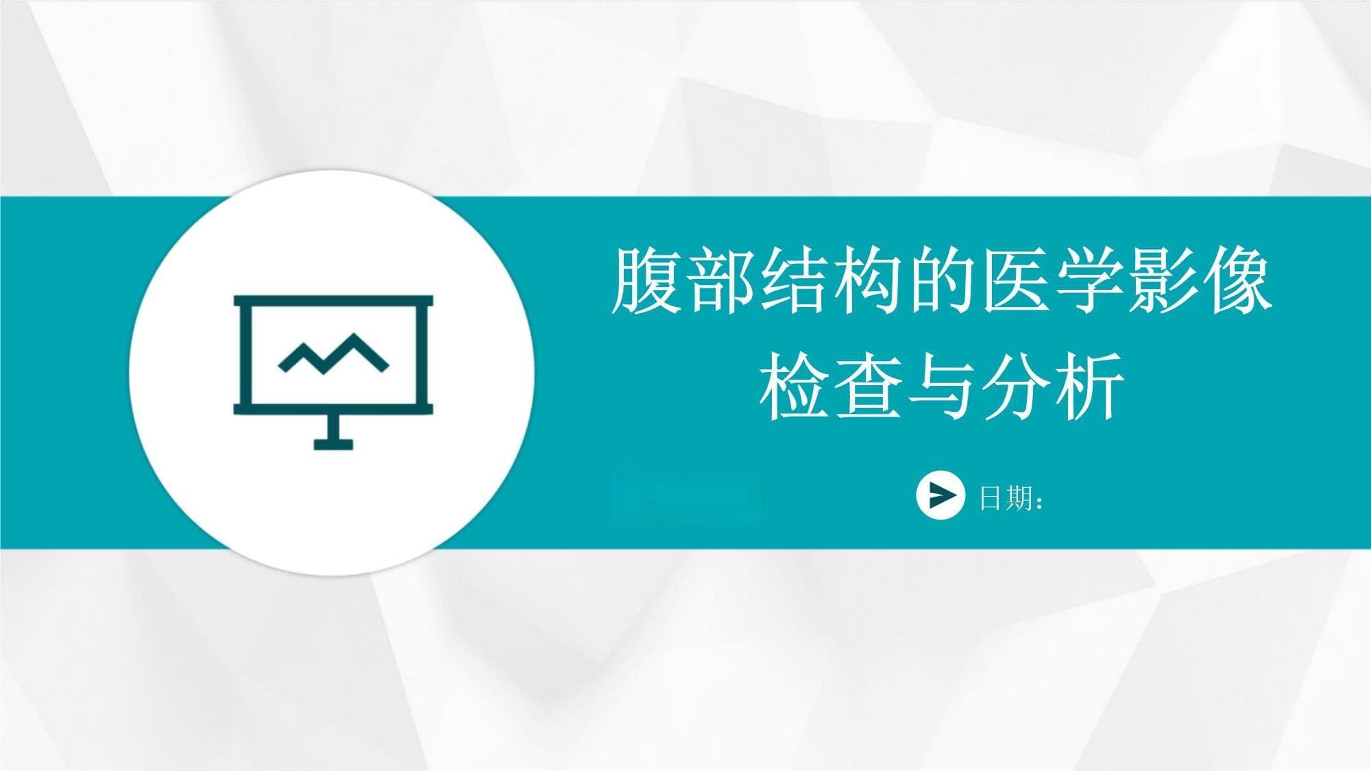 腹部结构的医学影像检查与分析