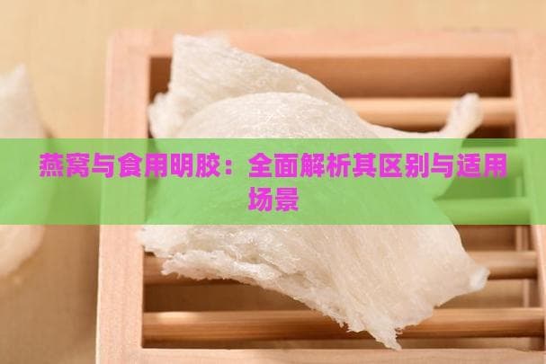 燕窝与食用明胶：全面解析其区别与适用场景