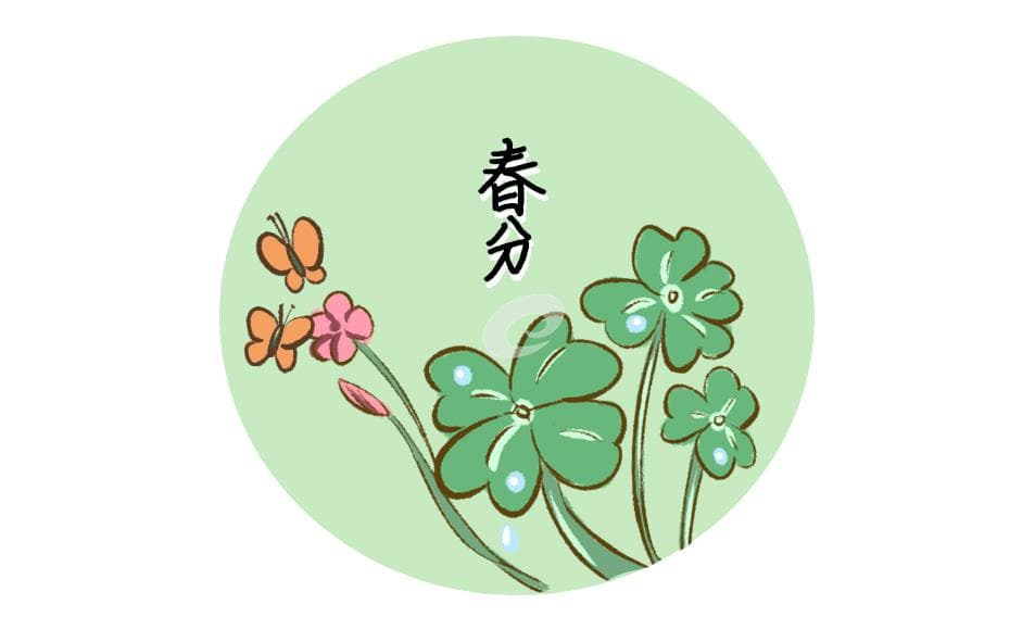 春分竖蛋的方法技巧