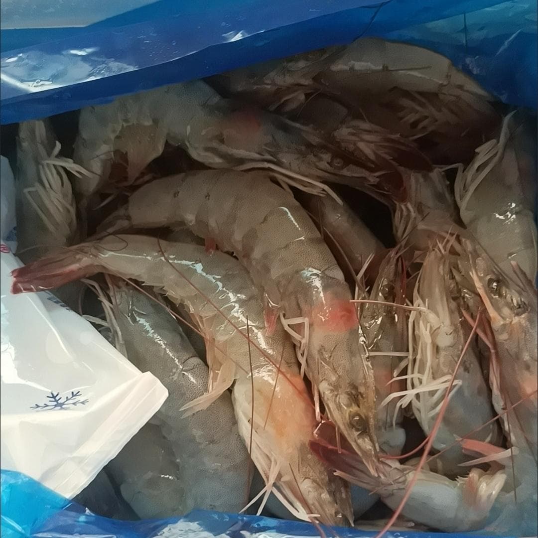 美味开背蒜蓉基围虾：舌尖上的鲜香盛宴！