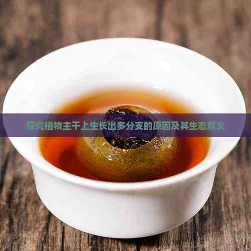 探究植物主干上生长出多分支的原因及其生态意义