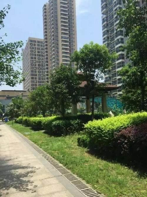 庆典背后：文化传承的坚守与创新