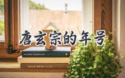 大唐盛世：玄宗年号的背后