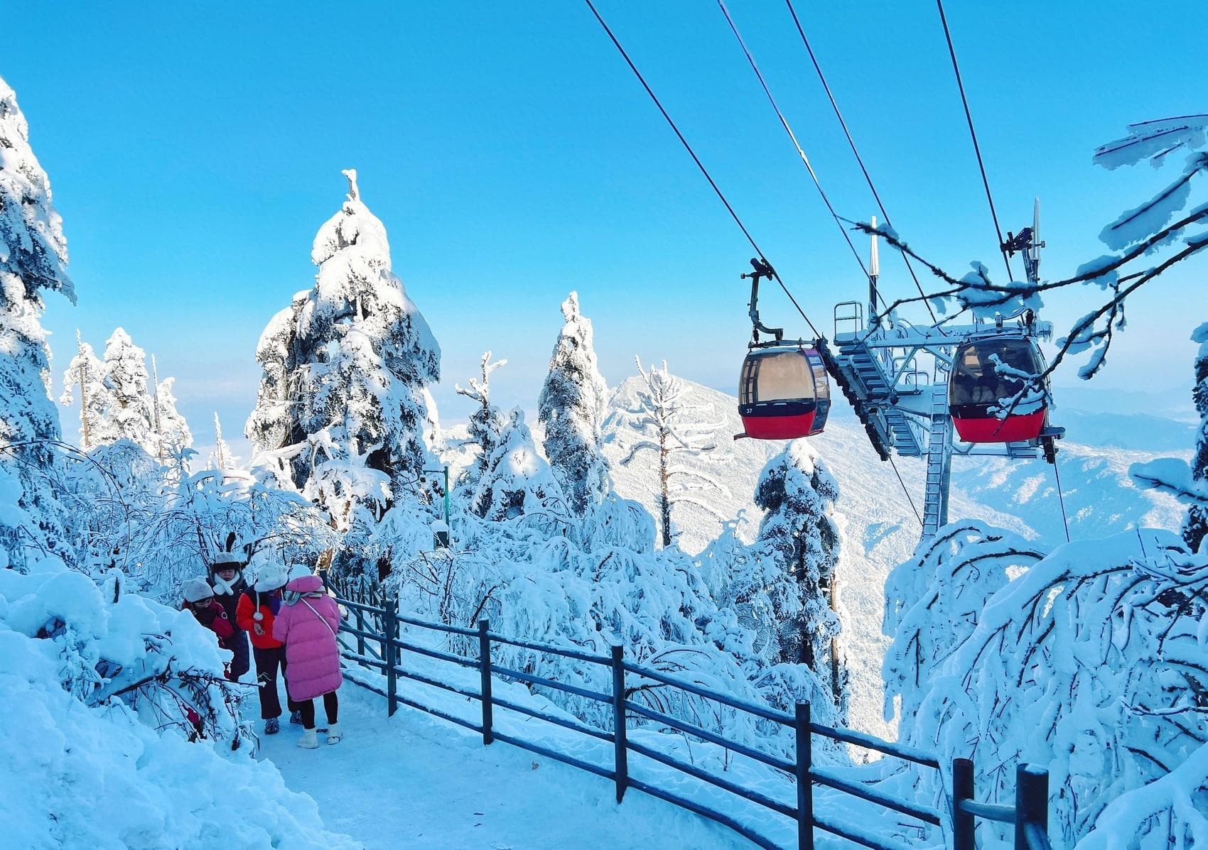 瓦屋山冰雪徒步赛+三苏祠银杏季，眉山冬日文旅双璧