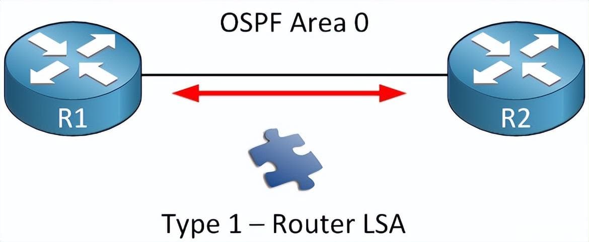 一文详解OSPF七种LSA类型