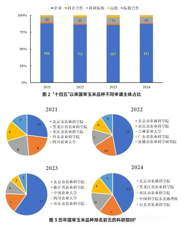 2024年全国省级审定玉米品种1902个！前十省份排名→