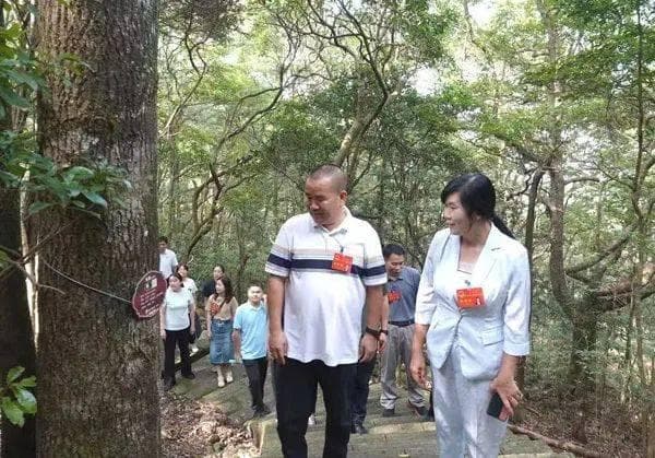 走进银瓶山，东莞版“阿勒泰”是如何炼成的？