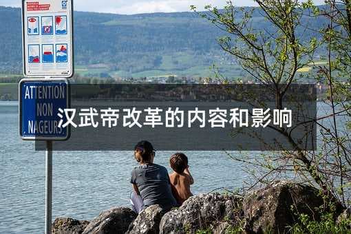 汉武帝改革的内容和影响
