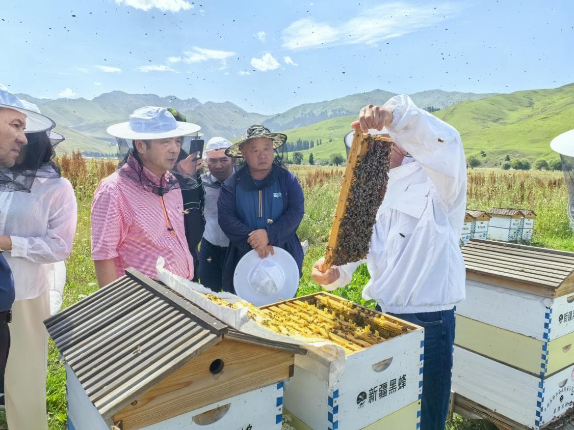 《成熟蜂蜜产量测定技术规范》伊犁州蜂业协会团体标准发布