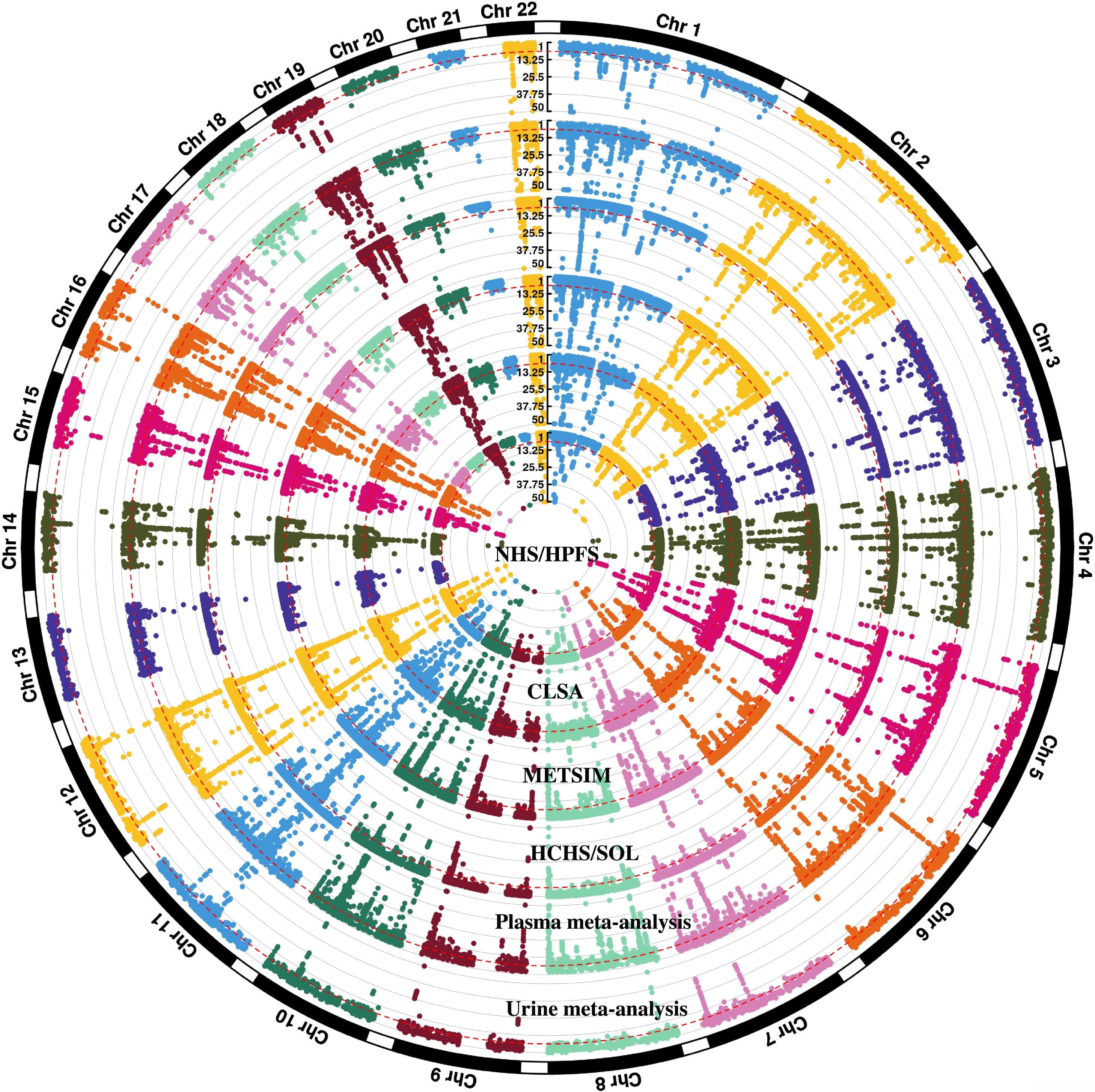 孟德尔随机化+多组学：AMD致病机制研究新突破