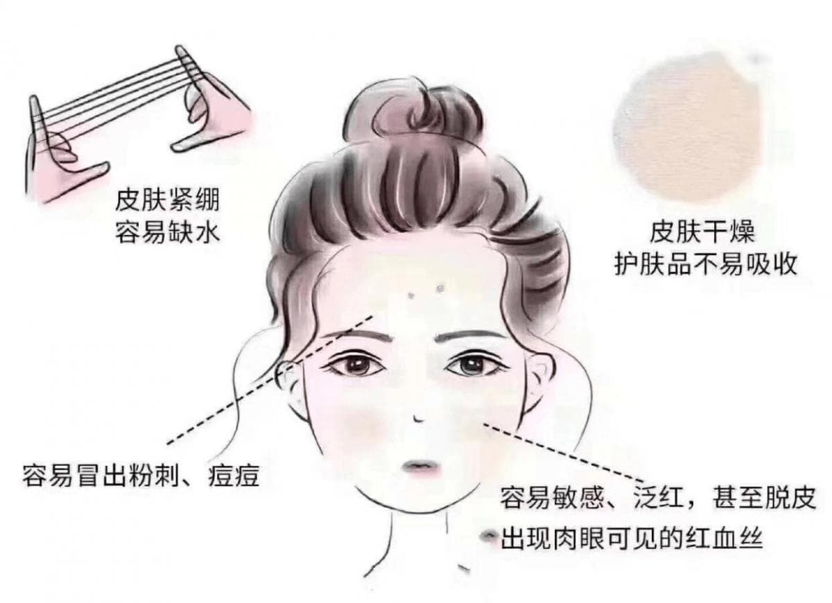 圣迪妮尔：重塑肌肤防线 揭秘如何修复与加强肌肤屏障