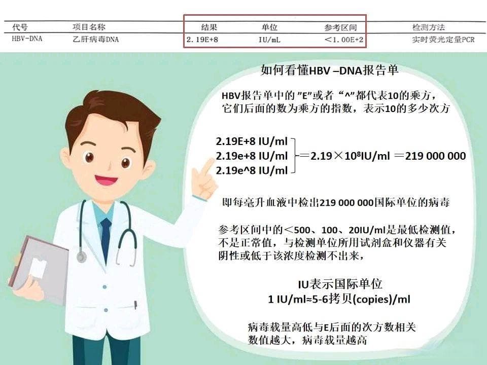 乙肝DNA滴度检测（文字来自微信公众号  河南省妇幼保健院）