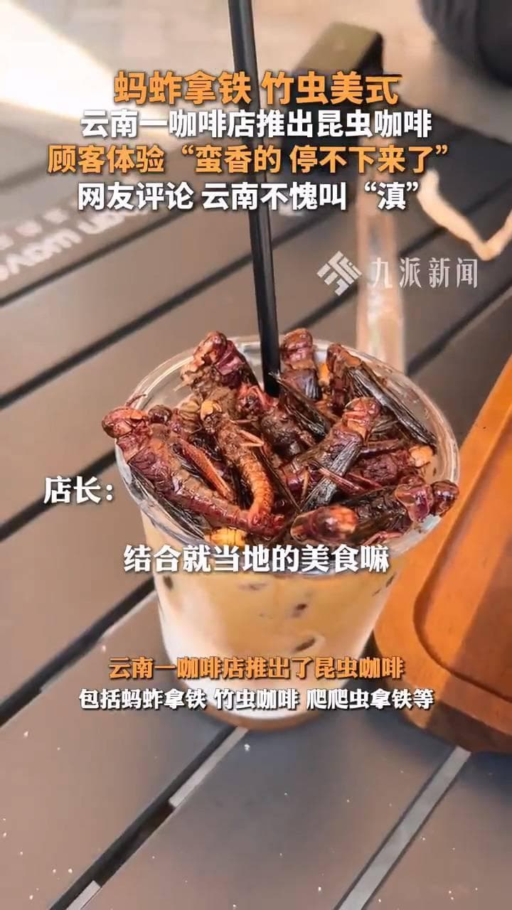 云南一咖啡店推出昆虫咖啡！蚂蚱拿铁68元 风味独特