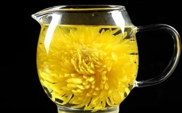胎菊和菊花哪个更好？从功效到适用人群的全面解析