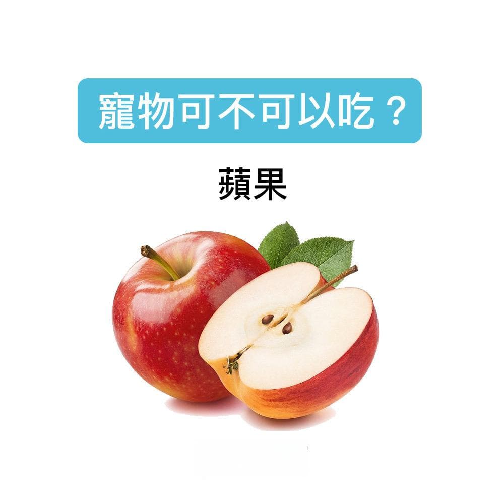 猫狗可以吃苹果吗？需要注意哪些事项？