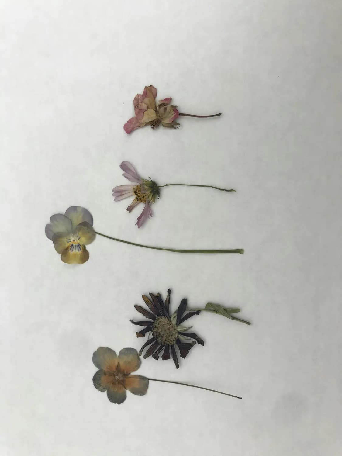 五花肉最佳卤味指南