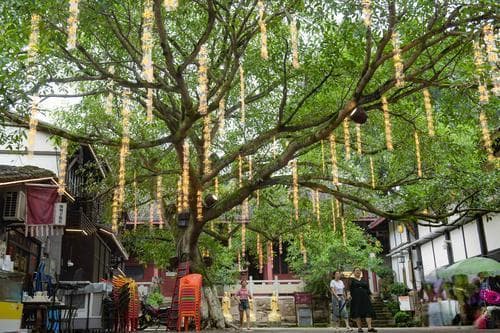 古镇活化利用如何留住“魂”？来看北碚偏岩古镇火出圈背后的故事