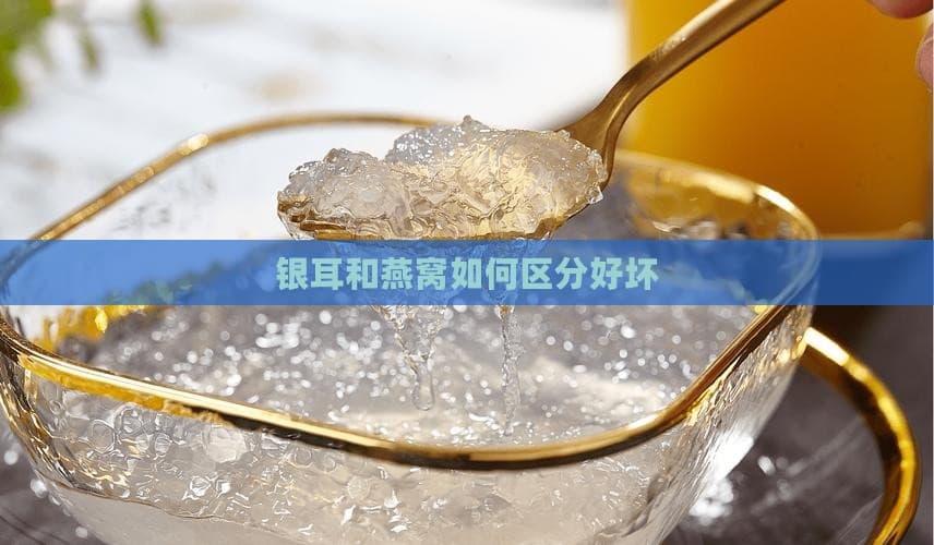 银耳和燕窝如何区分好坏