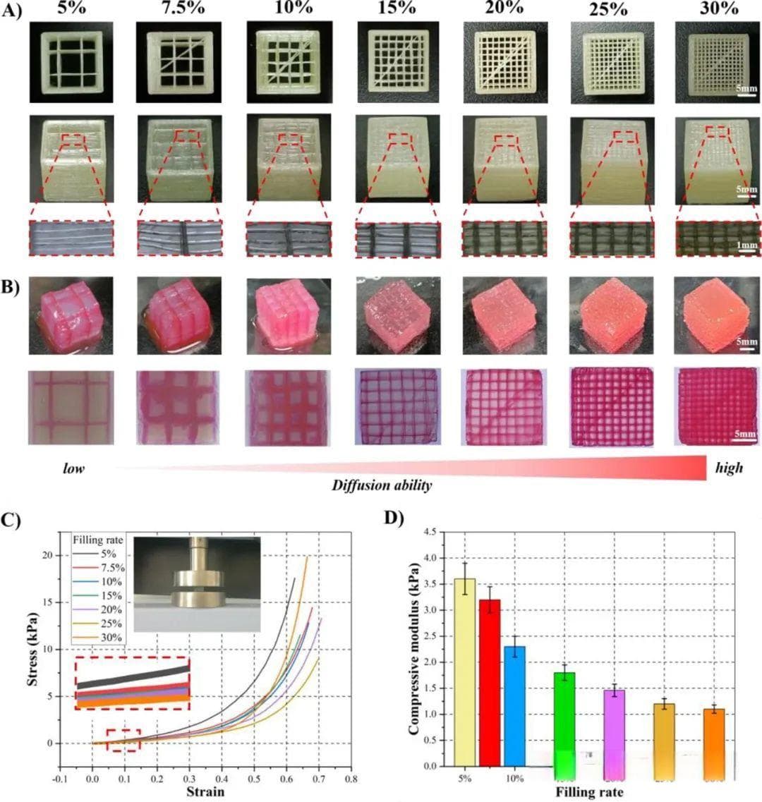 水凝胶牺牲模板法结合3D打印定制具有通道网络的支架材料