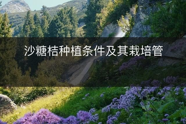 沙糖桔种植条件及其栽培管理方法