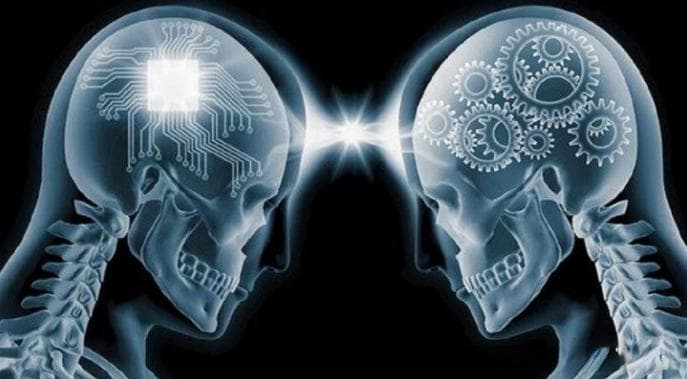 为何人类需重复学习与记忆？人工智能与人类认知机制的融合 —— 生物体AI