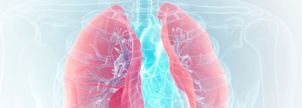 IMS系统必备知识：掌握PUI和PVI，开启IMS应用新篇章